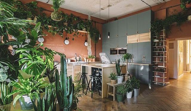 IKEA dévoile la « Maison de demain », une oasis urbaine remplie de plantes qui inspirera la durabilité — Conseils Déco