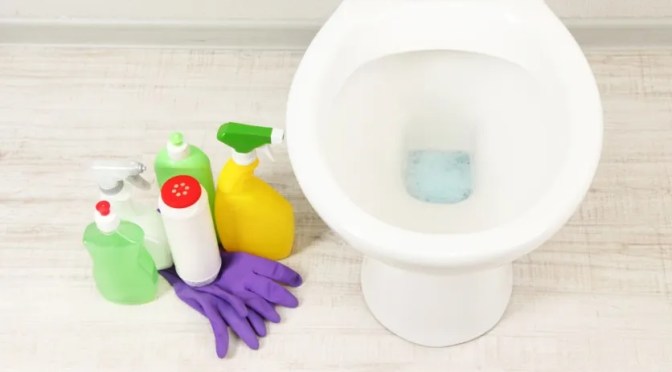 5 solutions naturelles pour déboucher ses toilettes — Déco Maison Moderne