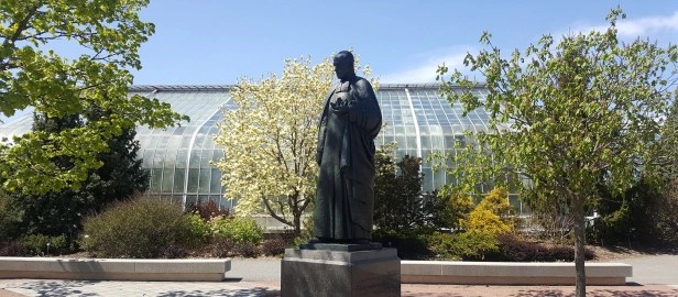 Beauté et curiosités dans les serres du Jardin botanique de Montréal