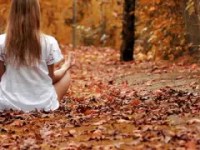 Les Bâtiments en Bois pour le Bien-Être