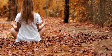 Les Bâtiments en Bois pour le Bien-Être